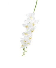 Orchidée blanche 1.50m *12pcs
