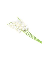 Orchidée blanche pour fête et pas cher