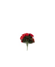 Bouquet de Rose - Rouge 21 roses