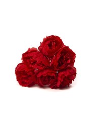 Bouquet de 6 Pivoines Rouge