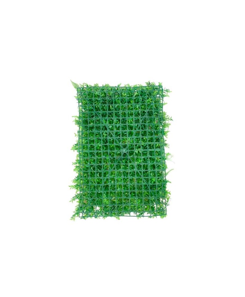 Plaque de mur végétal fougere