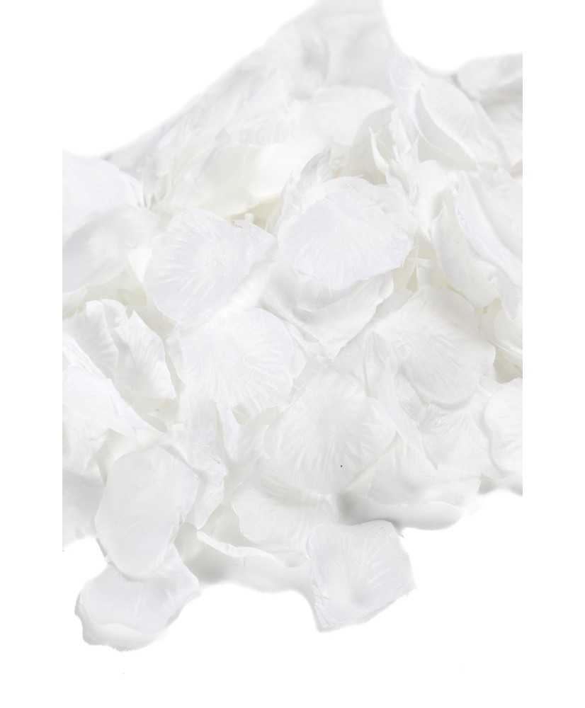Pétales de fleurs blanches 244 pcs