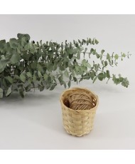Bouquet eucalyptus artificiel pour fête et pas cher
